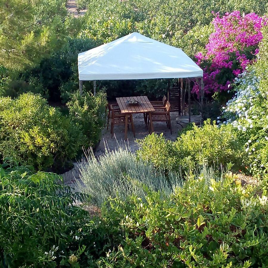 Villa Aegina'S Oasis Extérieur photo