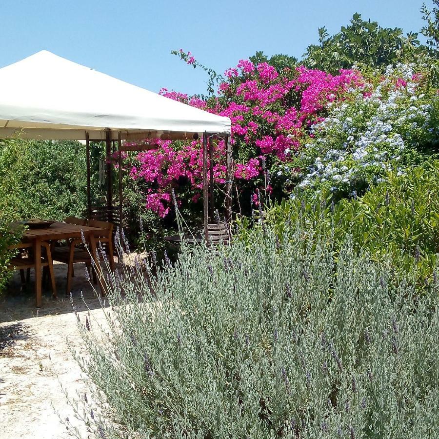 Villa Aegina'S Oasis Extérieur photo