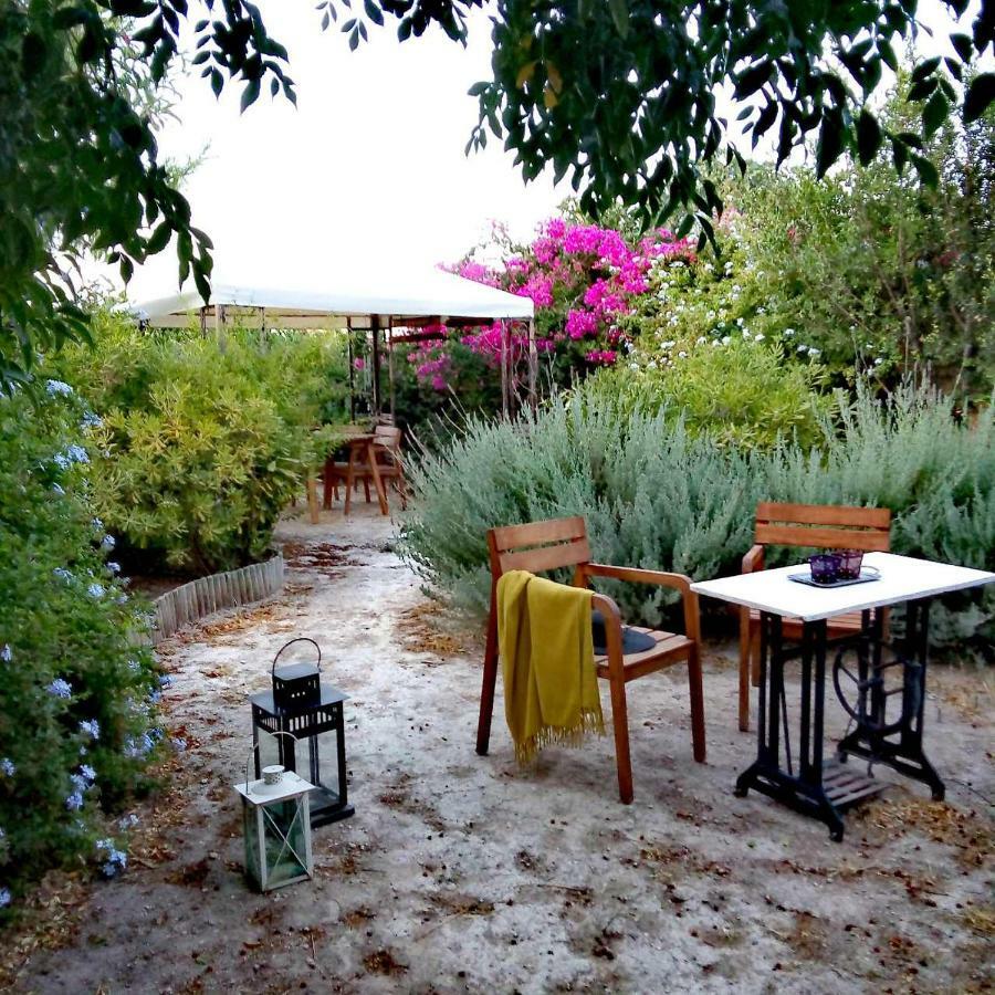 Villa Aegina'S Oasis Extérieur photo