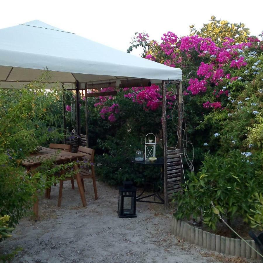 Villa Aegina'S Oasis Extérieur photo